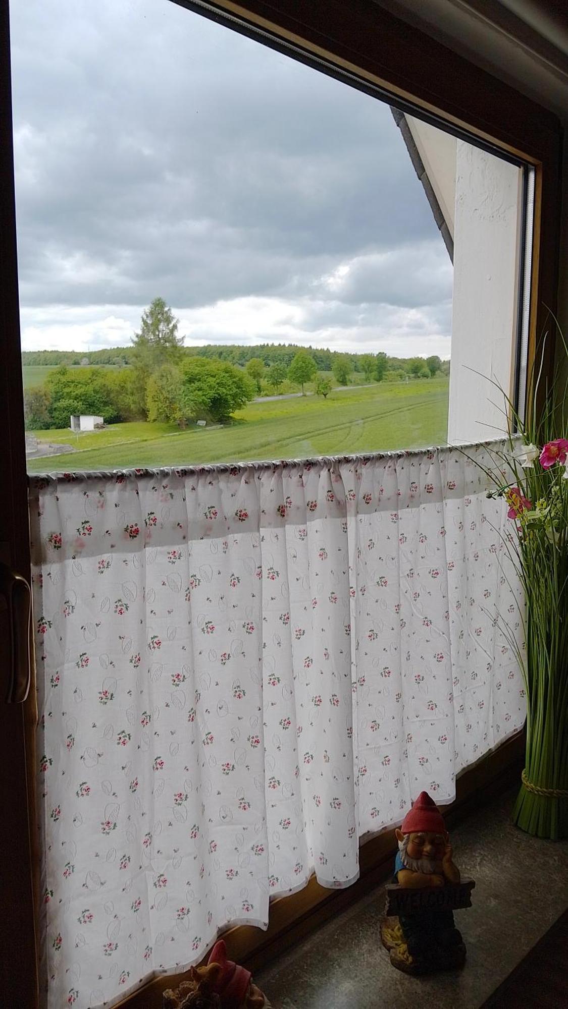 Gruene Oase In Hann. Muenden Hannoversch Münden Dış mekan fotoğraf